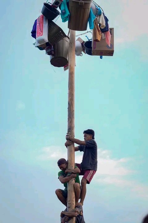 1692862231480.jpg